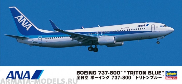 10737 Самолет ANA B737-800 Hasegawa