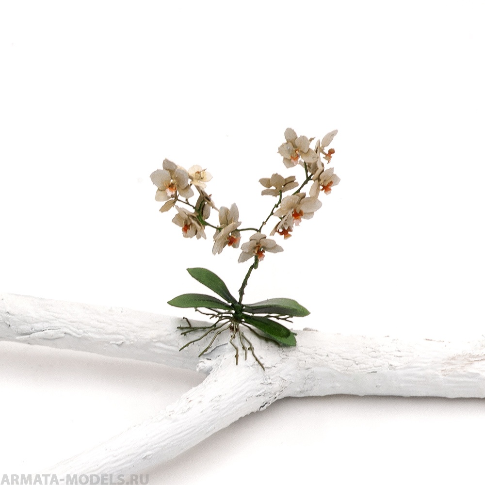 S176MWP Орхидея, размер L