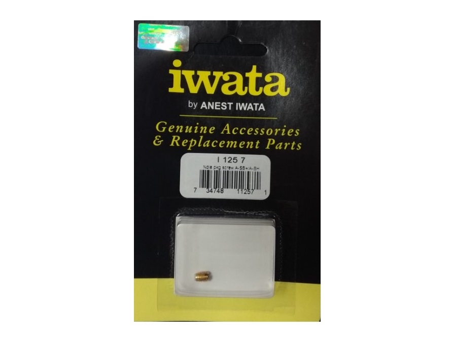 98532430IW Винт-уплотнитель иглы для аэрографов HP-AH/BH/AP/BP/SBP/AR/BR/CR3/TR1 (I 125 7)