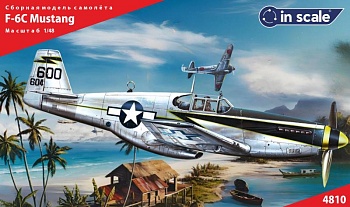 4810 F-6C Mustang - разведчик USAAC