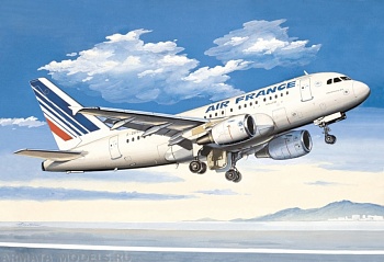 ЕЕ14429 Авиалайнер А-318 Air France
