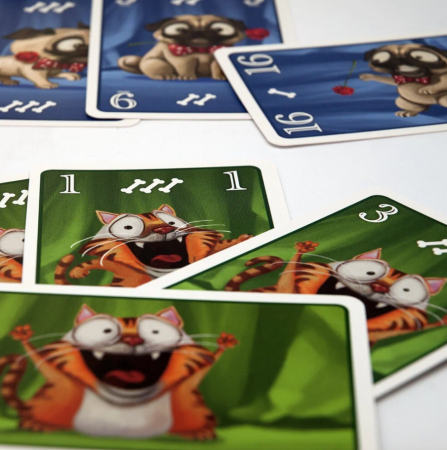 17024fFI Мопсы против Котов