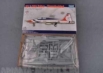 05809P T-38A Talon Thunderbird