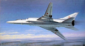 01655 Самолет  Ту-22М2