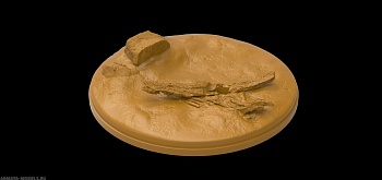 DINO35018-1 Подставка для фигурки Велоцираптора