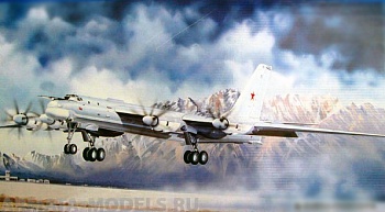 01601 Самолет  Ту-95МС